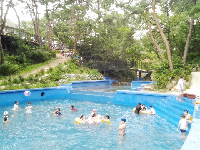 팀수양관 수영장/여름